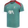 Maillot de Supporter Liverpool Special 2024-25 Pour Homme